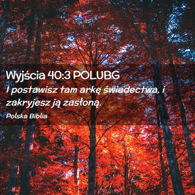 Picture 02 - Wyjścia 40:3 POLUBG - I postawisz tam arkę świadectwa, i zakryjesz - Bible Verse Picture