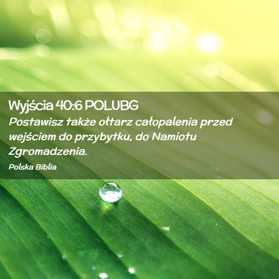 Picture 02 - Wyjścia 40:6 POLUBG - Postawisz także ołtarz całopalenia przed - Bible Verse Picture