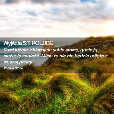 Picture 02 - Wyjścia 5:11 POLUBG - Sami idźcie, zbierajcie sobie słomę, gdzie ją - Bible Verse Picture