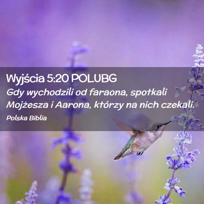 Picture 02 - Wyjścia 5:20 POLUBG - Gdy wychodzili od faraona, spotkali Mojżesza i - Bible Verse Picture