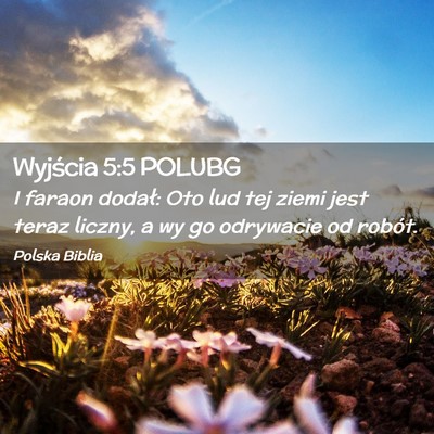 Picture 02 - Wyjścia 5:5 POLUBG - I faraon dodał: Oto lud tej ziemi jest teraz - Bible Verse Picture