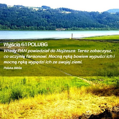 Picture 02 - Wyjścia 6:1 POLUBG - Wtedy PAN powiedział do Mojżesza: Teraz - Bible Verse Picture