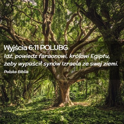 Picture 02 - Wyjścia 6:11 POLUBG - Idź, powiedz faraonowi, królowi Egiptu, żeby - Bible Verse Picture