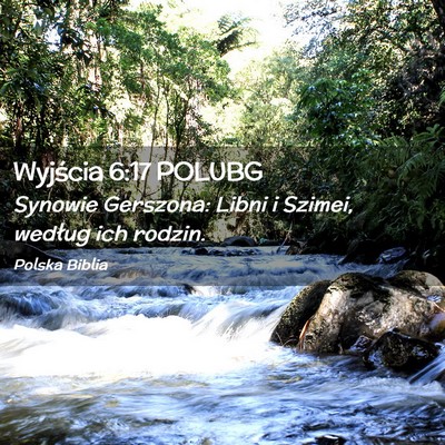 Picture 02 - Wyjścia 6:17 POLUBG - Synowie Gerszona: Libni i Szimei, według ich - Bible Verse Picture