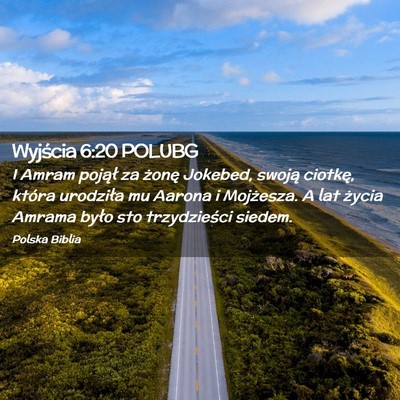 Picture 02 - Wyjścia 6:20 POLUBG - I Amram pojął za żonę Jokebed, swoją - Bible Verse Picture