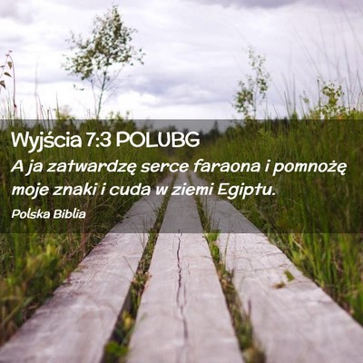 Picture 02 - Wyjścia 7:3 POLUBG - A ja zatwardzę serce faraona i pomnożę moje - Bible Verse Picture