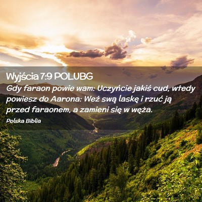 Picture 02 - Wyjścia 7:9 POLUBG - Gdy faraon powie wam: Uczyńcie jakiś cud, wtedy - Bible Verse Picture
