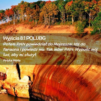 Picture 02 - Wyjścia 8:1 POLUBG - Potem PAN powiedział do Mojżesza: Idź do - Bible Verse Picture