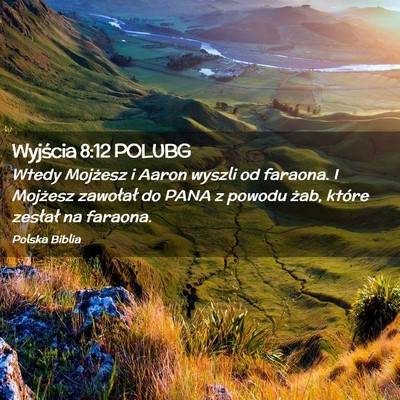 Picture 02 - Wyjścia 8:12 POLUBG - Wtedy Mojżesz i Aaron wyszli od faraona. I - Bible Verse Picture