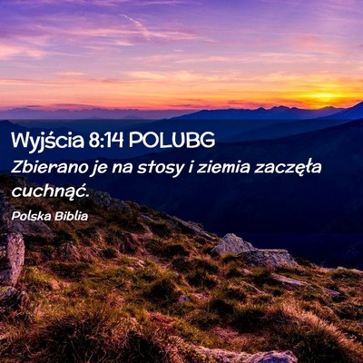 Picture 02 - Wyjścia 8:14 POLUBG - Zbierano je na stosy i ziemia zaczęła - Bible Verse Picture