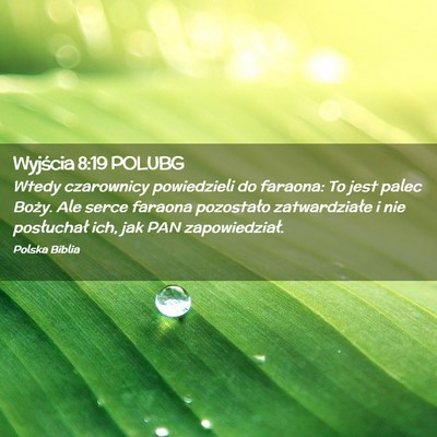 Picture 02 - Wyjścia 8:19 POLUBG - Wtedy czarownicy powiedzieli do faraona: To jest - Bible Verse Picture