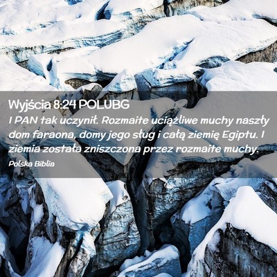 Picture 02 - Wyjścia 8:24 POLUBG - I PAN tak uczynił. Rozmaite uciążliwe muchy - Bible Verse Picture