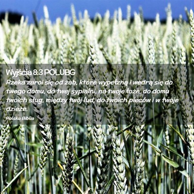 Picture 02 - Wyjścia 8:3 POLUBG - Rzeka zaroi się od żab, które wypełzną i - Bible Verse Picture