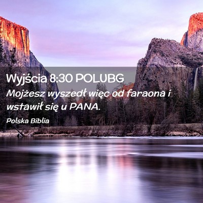 Picture 02 - Wyjścia 8:30 POLUBG - Mojżesz wyszedł więc od faraona i wstawił - Bible Verse Picture