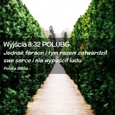 Picture 02 - Wyjścia 8:32 POLUBG - Jednak faraon i tym razem zatwardził swe serce i - Bible Verse Picture