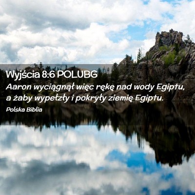 Picture 02 - Wyjścia 8:6 POLUBG - Aaron wyciągnął więc rękę nad wody Egiptu, - Bible Verse Picture