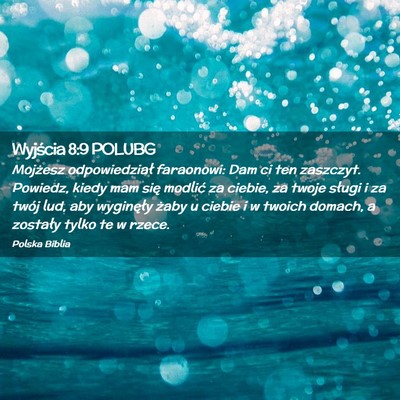 Picture 02 - Wyjścia 8:9 POLUBG - Mojżesz odpowiedział faraonowi: Dam ci ten - Bible Verse Picture