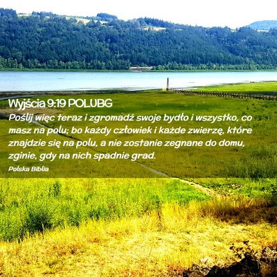 Picture 02 - Wyjścia 9:19 POLUBG - Poślij więc teraz i zgromadź swoje bydło i - Bible Verse Picture