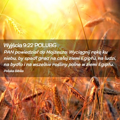 Picture 02 - Wyjścia 9:22 POLUBG - PAN powiedział do Mojżesza: Wyciągnij rękę - Bible Verse Picture