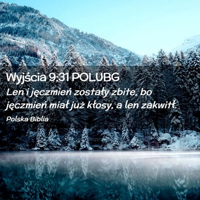 Picture 02 - Wyjścia 9:31 POLUBG - Len i jęczmień zostały zbite, bo jęczmień - Bible Verse Picture