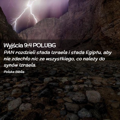 Picture 02 - Wyjścia 9:4 POLUBG - PAN rozdzieli stada Izraela i stada Egiptu, aby - Bible Verse Picture