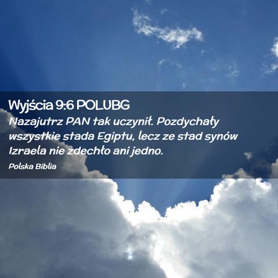Picture 02 - Wyjścia 9:6 POLUBG - Nazajutrz PAN tak uczynił. Pozdychały wszystkie - Bible Verse Picture