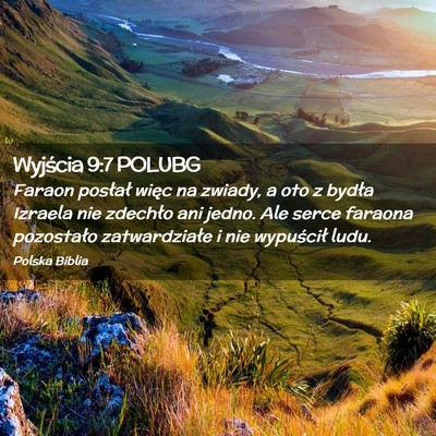 Picture 02 - Wyjścia 9:7 POLUBG - Faraon posłał więc na zwiady, a oto z bydła - Bible Verse Picture