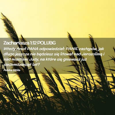 Picture 02 - Zachariasza 1:12 POLUBG - Wtedy Anioł PANA odpowiedział: PANIE - Bible Verse Picture
