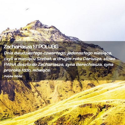 Picture 02 - Zachariasza 1:7 POLUBG - Dnia dwudziestego czwartego, jedenastego - Bible Verse Picture
