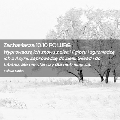 Picture 02 - Zachariasza 10:10 POLUBG - Wyprowadzę ich znowu z ziemi Egiptu i zgromadzę - Bible Verse Picture