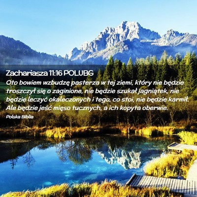 Picture 02 - Zachariasza 11:16 POLUBG - Oto bowiem wzbudzę pasterza w tej ziemi, który - Bible Verse Picture