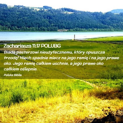 Picture 02 - Zachariasza 11:17 POLUBG - Biada pasterzowi nieużytecznemu, który opuszcza - Bible Verse Picture