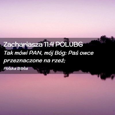 Picture 02 - Zachariasza 11:4 POLUBG - Tak mówi PAN, mój Bóg: Paś owce przeznaczone - Bible Verse Picture