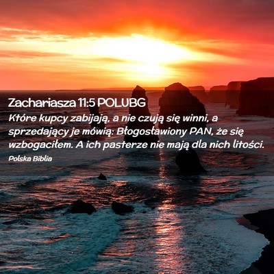 Picture 02 - Zachariasza 11:5 POLUBG - Które kupcy zabijają, a nie czują się winni, - Bible Verse Picture