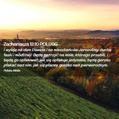 Picture 02 - Zachariasza 12:10 POLUBG - I wyleję na dom Dawida i na mieszkańców - Bible Verse Picture
