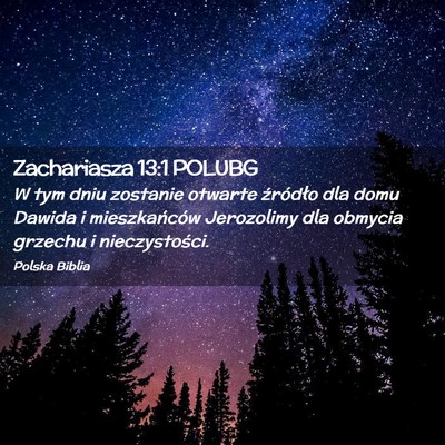Picture 02 - Zachariasza 13:1 POLUBG - W tym dniu zostanie otwarte źródło dla domu - Bible Verse Picture