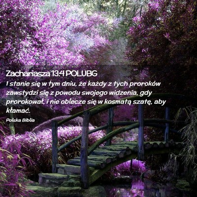 Picture 02 - Zachariasza 13:4 POLUBG - I stanie się w tym dniu, że każdy z tych - Bible Verse Picture