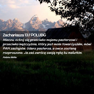 Picture 02 - Zachariasza 13:7 POLUBG - Mieczu, ocknij się przeciwko mojemu pasterzowi i - Bible Verse Picture