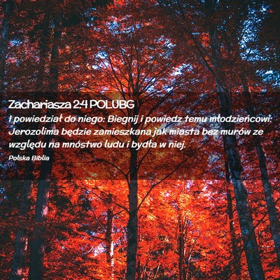 Picture 02 - Zachariasza 2:4 POLUBG - I powiedział do niego: Biegnij i powiedz temu - Bible Verse Picture