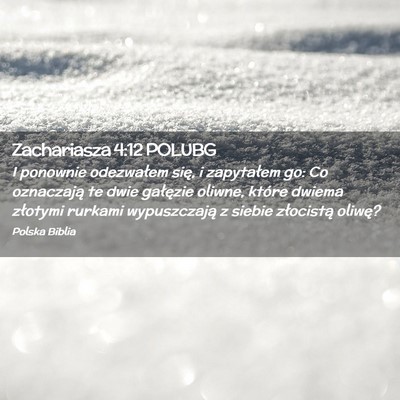 Picture 02 - Zachariasza 4:12 POLUBG - I ponownie odezwałem się, i zapytałem go: Co - Bible Verse Picture
