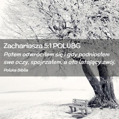 Picture 02 - Zachariasza 5:1 POLUBG - Potem odwróciłem się i gdy podniosłem swe - Bible Verse Picture