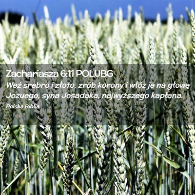 Picture 02 - Zachariasza 6:11 POLUBG - Weź srebro i złoto, zrób korony i włóż je - Bible Verse Picture