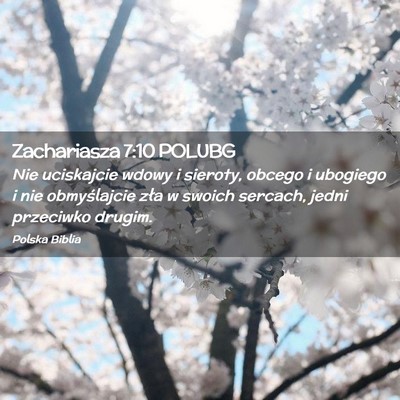 Picture 02 - Zachariasza 7:10 POLUBG - Nie uciskajcie wdowy i sieroty, obcego i ubogiego - Bible Verse Picture