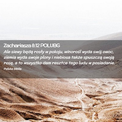 Picture 02 - Zachariasza 8:12 POLUBG - Ale siewy będą rosły w pokoju, winorośl wyda - Bible Verse Picture