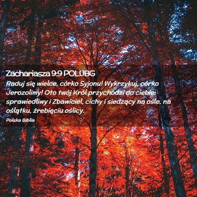 Picture 02 - Zachariasza 9:9 POLUBG - Raduj się wielce, córko Syjonu! Wykrzykuj, - Bible Verse Picture