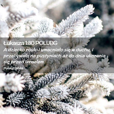 Picture 02 - Łukasza 1:80 POLUBG - A dziecko rosło i umacniało się w duchu, i - Bible Verse Picture