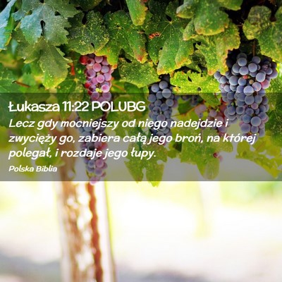 Picture 02 - Łukasza 11:22 POLUBG - Lecz gdy mocniejszy od niego nadejdzie i - Bible Verse Picture
