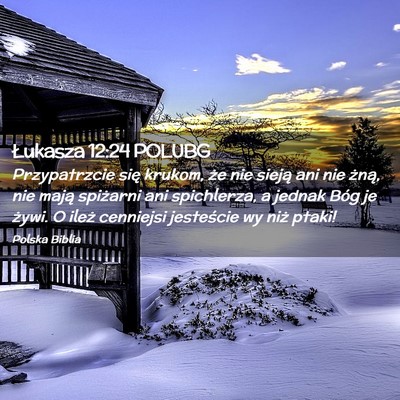 Picture 02 - Łukasza 12:24 POLUBG - Przypatrzcie się krukom, że nie sieją ani nie - Bible Verse Picture