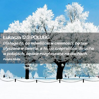 Picture 02 - Łukasza 12:3 POLUBG - Dlatego to, co mówiliście w ciemności, będzie - Bible Verse Picture