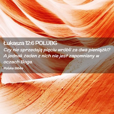 Picture 02 - Łukasza 12:6 POLUBG - Czy nie sprzedają pięciu wróbli za dwa - Bible Verse Picture